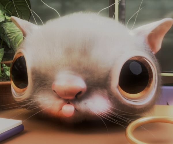 Miso's furry face